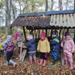 phoca_thumb_m_krteci u krmelce 2 Fotogalerie